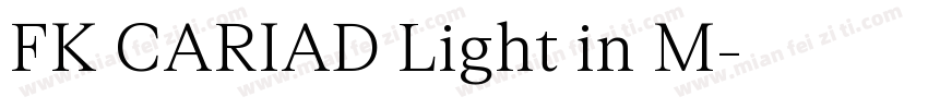 FK CARIAD Light in M字体转换